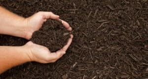 Everything You’ve Wanted To Know About Mulching (But Didn’t Want To Ask)