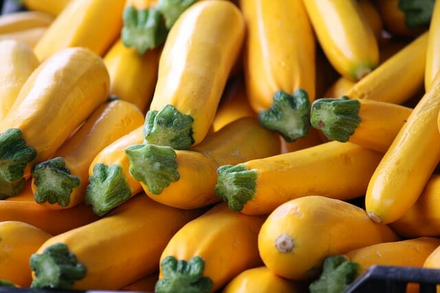 Summer Squash: The Gardening Staple You Can Grow In 40 Days