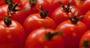 8 Health Benefits Of Tomatoes You Probably Didn’t Know