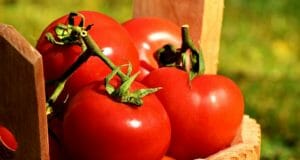 The Remarkable Health Benefits Of Ordinary Tomatoes