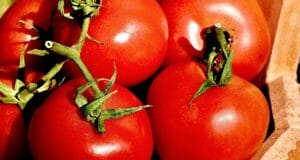 Tomato-Growing Mistakes Every Gardener Makes