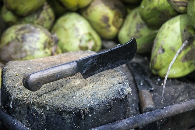 The Inexpensive All-Purpose Knife Your Ancestors Used