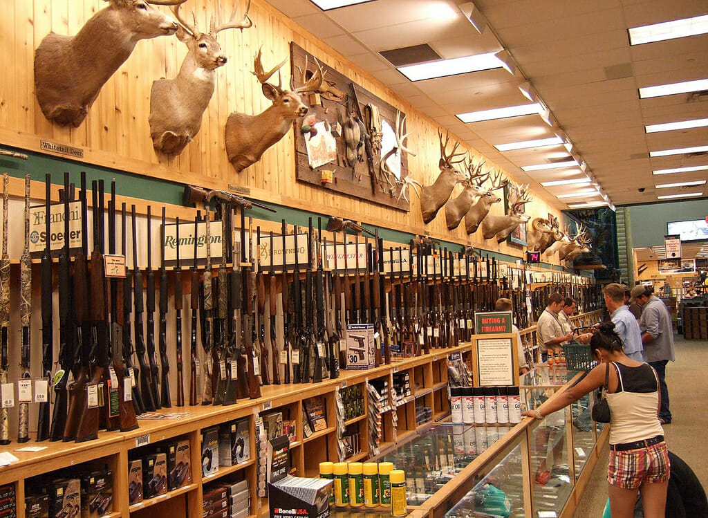 ‘Gun Rationing’: State May Limit Rifle & Shotgun Purchase To One-A-Month