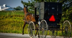 Amish Farmer Sold Herbal Salves. The Feds Sent Him To Prison For 6 Years
