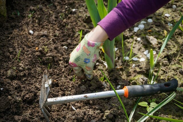 The Low-Maintenance Secret To A Weed-Free Garden