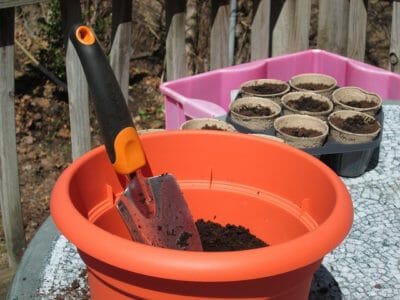How To Grow A Garden When You Don’t Own Land