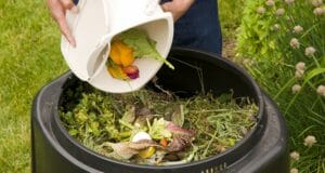 Stuff You Probably Didn’t Know You Could Compost