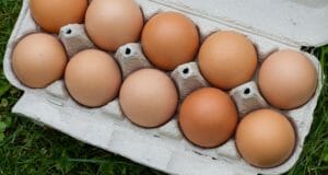 Can Herbs Boost Your Chickens’ Egg Production? Yes!