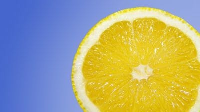 The Easy Way To Grow Lemon Trees Indoors