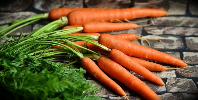 Long-Term Carrot Storage … For Up To 20 Years