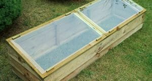 Cold Frames 101: What You’ve Always Wanted To Know (But Didn’t Want To Ask)
