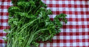Simple And Easy Ways To Preserve Homegrown Herbs