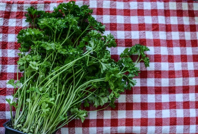 Simple And Easy Ways To Preserve Homegrown Herbs