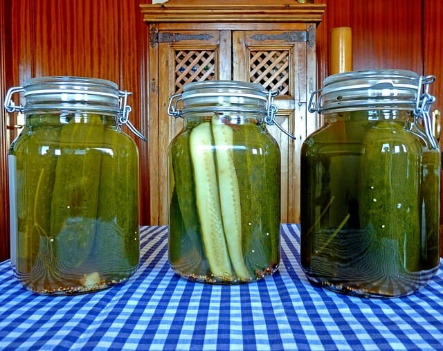 4 Food Preservation Tricks You Won’t Learn In The Ball Book