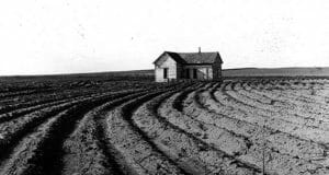 Surviving The Great Depression: Why Some Farms Flourished And Others Failed