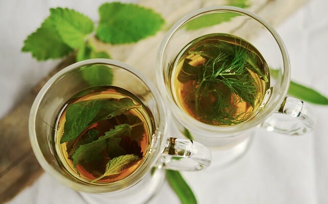 6 Healing Herbal Teas You Can Make From Backyard Plants