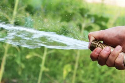 6 Clever Ways To Save Money When Watering Your Garden