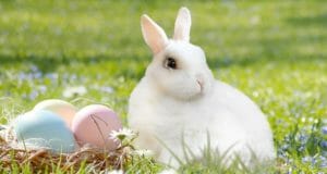 Children Taken From Christian Parents Because They Didn’t Believe In Easter Bunny