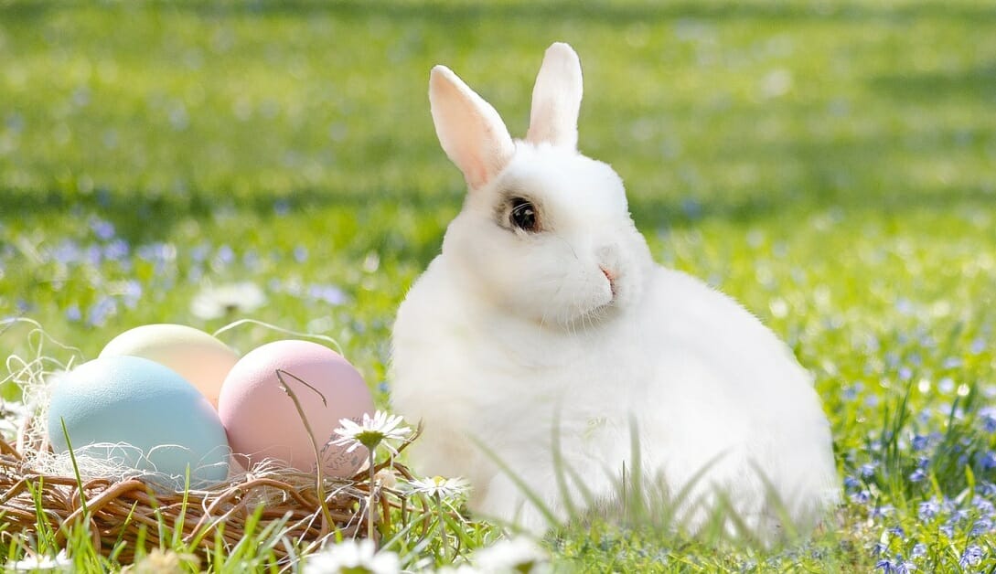 Children Taken From Christian Parents Because They Didn’t Believe In Easter Bunny