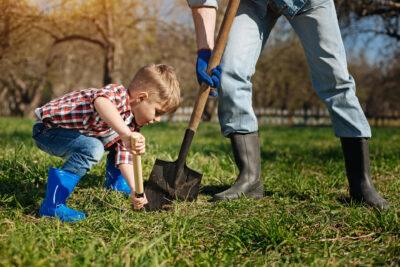 digging in soil