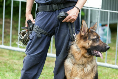 cops threaten to kill k-9 dogs