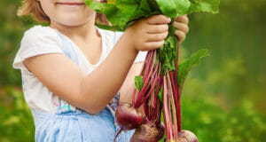 “Beet Health Benefits” Include Powerful Pigments That Detoxify And Heal