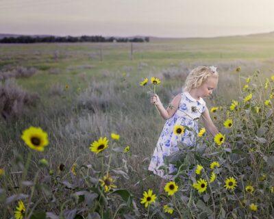 plant sunflowers