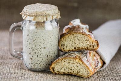 sourdough starter