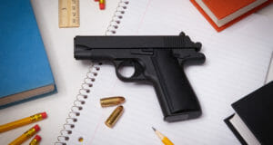 Fear Of Guns Now Being Taught And Officially Propagandized In Public Schools
