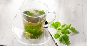 Nettle Oil Has Many Benefits And Uses