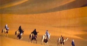 Learning Desert Survival Secrets From The Bedouins
