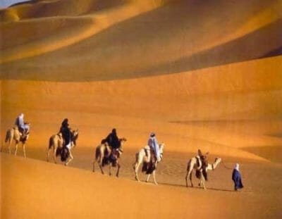 desert survival secrets from the bedouins