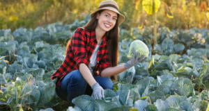 Cabbage: Anti-Cancer Wonder Vegetable For Your Survival Garden