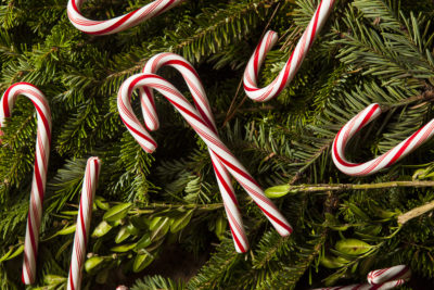 principal banned candy canes