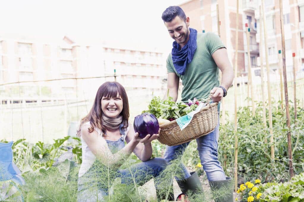 Urban Homesteading 7 Keys To Attaining SelfSufficiency In The City