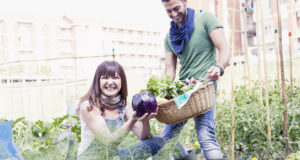 Urban Homesteading: 7 Keys To Attaining Self-Sufficiency In The City