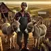 The Small Farm Secret Nobody Talks About: Why Miniature Donkeys Might Be the Best Decision You Ever Make