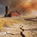 The Perfect Storm: America’s Deepening Drought… Soaring Input Costs… And What It Means For Your Food Supply