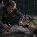 Ticks Are Exploding in 2026… Here’s How Smart Homesteaders Are Fighting Back… Without Poisoning Their Dogs