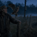 How To Turn Your Homestead Into An Owl Haven