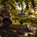 The Backyard Superfood Most Homesteaders Are Letting Rot On The Ground