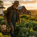 If You’re Over 60 And Still Want To Work Like Sunup To Sundown: Read This Now