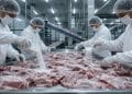 Meat Glue Exposed: The Processing Industry’s Best-Kept Secret