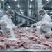 Meat Glue Exposed: The Processing Industry’s Best-Kept Secret