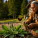 What Native American Tribal Elders Knew About This “Worthless” Weed