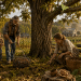 The Black Walnut: The Forgotten Homestead Treasure Hiding Along the Fence Line