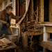 The Cheap Homestead Secret That Can Stop Termites Before They Eat Your House Alive