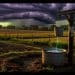 The Invisible Poison in Your Pump House: Forever Chemicals, Volcanic Rock, and What Zeolite Science Really Says