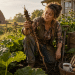 The Super-Healing-Root Growing Right Behind Your Compost Pile