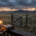 What the Charlie Kirk Security Collapse Should Teach Every Homesteader